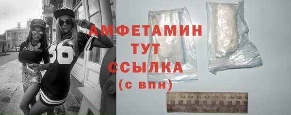 прущие грибы Вязники
