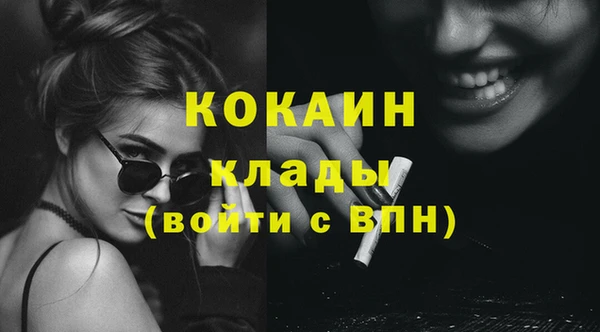 прущие грибы Вязники