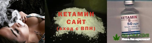 прущие грибы Вязники