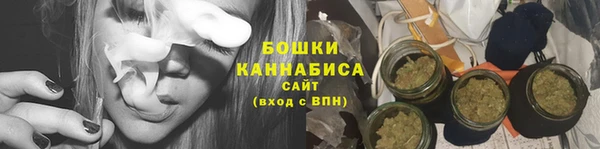 прущие крисы Вяземский