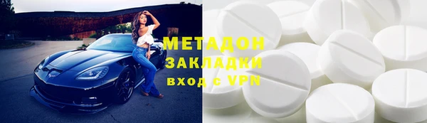 прущие грибы Вязники
