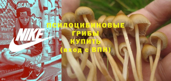 дурь Вязьма