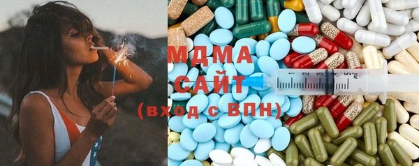прущие грибы Вязники