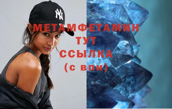 прущие грибы Вязники