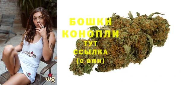 прущие грибы Вязники