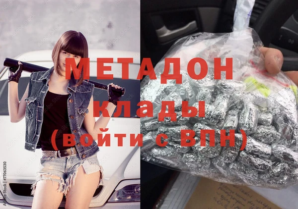 прущие грибы Вязники