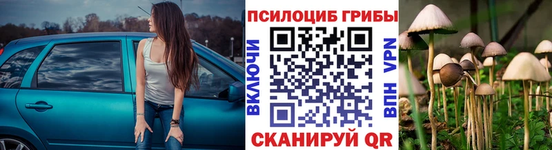 Псилоцибиновые грибы Psilocybine cubensis  Дубовка 